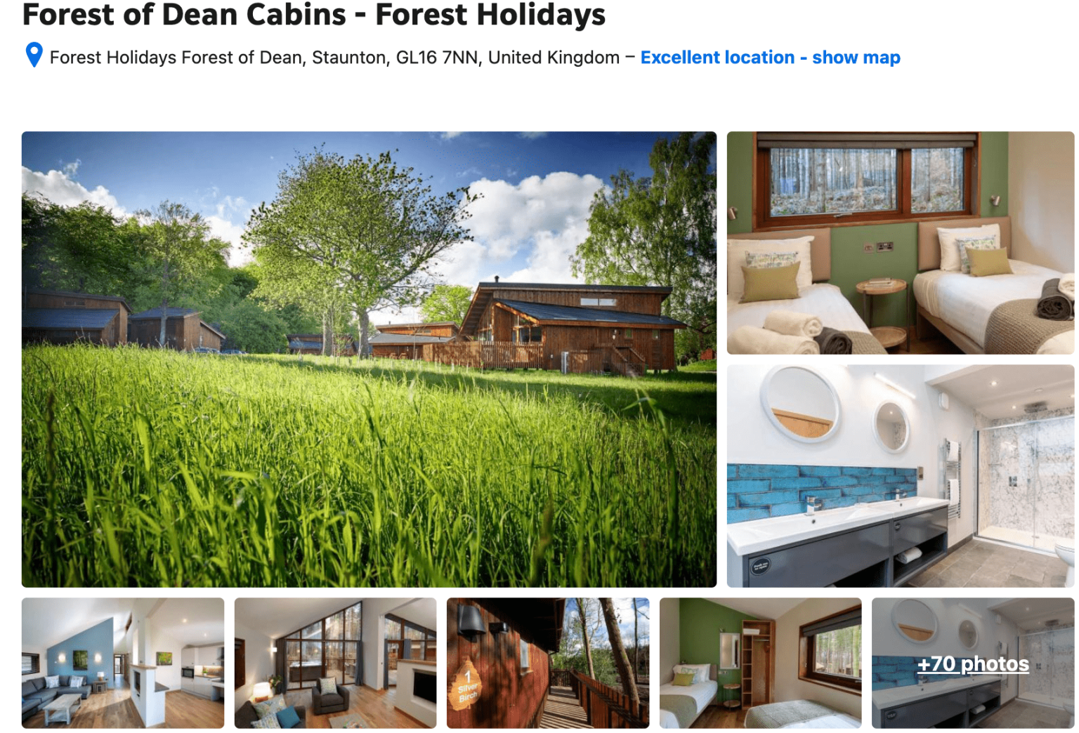 Shell Dean Forest What To Do In The Forest of Dean With Kids? - A Little More Outdoor