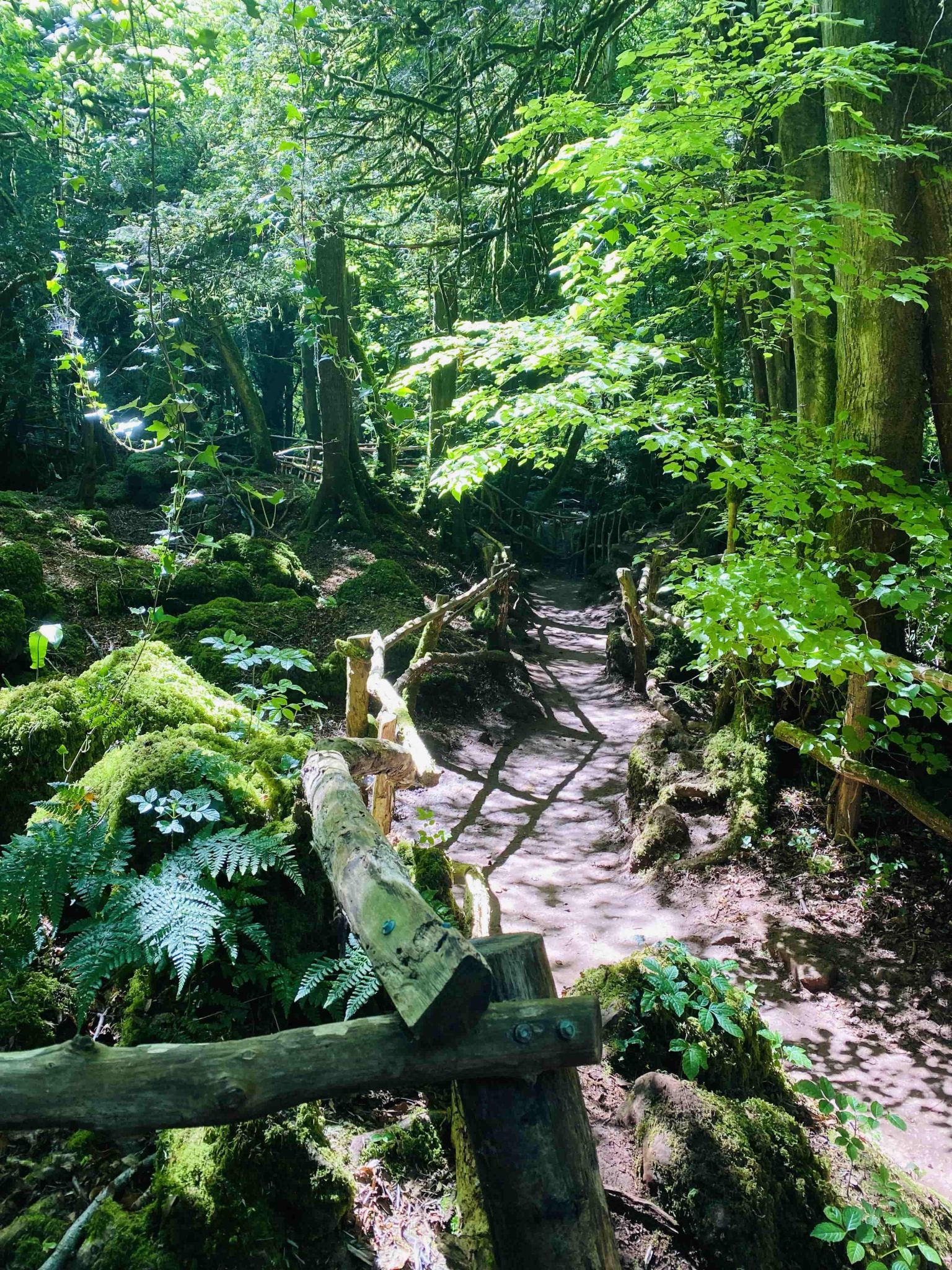 Shell Dean Forest What To Do In The Forest of Dean With Kids? - A Little More Outdoor