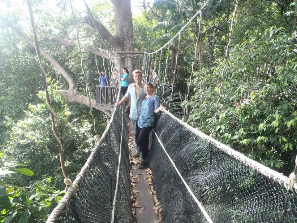 Jungle Canopy